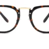 Tortoiseshell