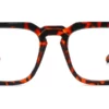 Tortoiseshell