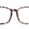 Tortoiseshell