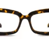 Tortoiseshell