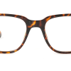 Tortoiseshell