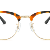 Tortoiseshell