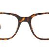 Tortoiseshell